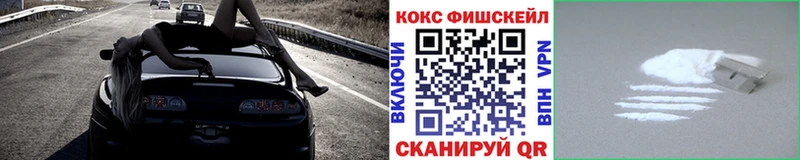 Cocaine FishScale  Новотроицк 