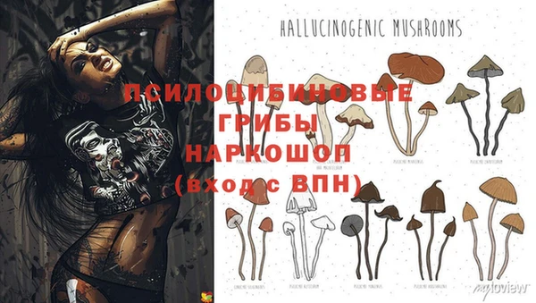 а пвп мука Абинск