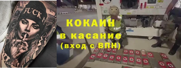 хмурый Алзамай